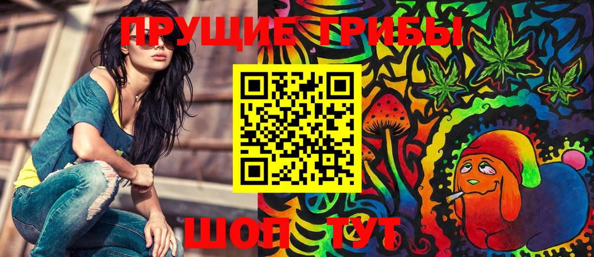 Галлюциногенные грибы Psilocybine cubensis Чебаркуль