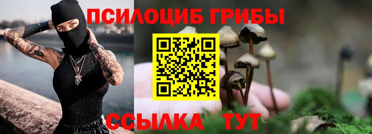Чебаркуль  Галлюциногенные грибы прущие грибы  Вход с VPN  цены наркотик  Галлюциногенные грибы Psilocybine cubensis 